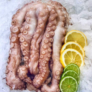 Pulpo Crudo  Español x 3kg.